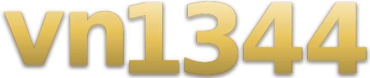 vn1344 logo